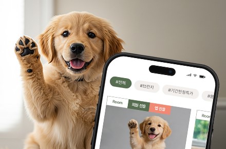 이미지